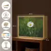 Wit - Madeliefje - Bloem - Gras Light Box met batterij (Wandlamp) middel -USP_websiteoverzichtNL