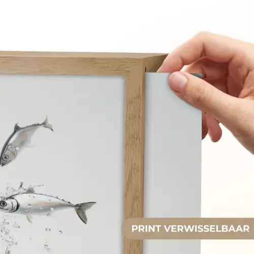 Vissen - Water - Wit Light Box met batterij (Wandlamp) middel -USP_websiteprintNL