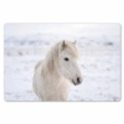 Paard - Kop - Winter - Dieren - Wit Placemat vinyl groot -zzsfeer1_Kitchenyeah-website