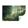 Bos - Pad - Zon - Bomen - Groen - Natuur Muursticker klein -3d