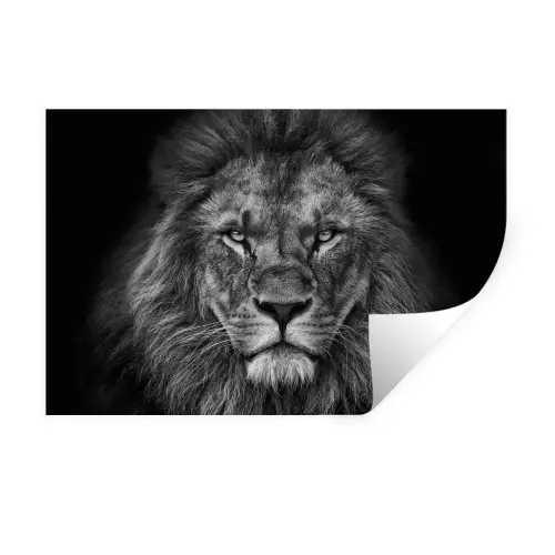Leeuw - Dieren - Zwart - Wit Muursticker klein -3d