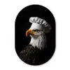 Arend -Amerika - Koksmuts - Vogel - Stoer Wandcirkel Ovaal Forex klein -3d