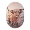 Schotse hooglanders - Licht - Lucht - Natuur Wandcirkel Ovaal Forex klein -3d