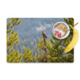Uil - Oehoe - Bomen - Natuur Placemat vinyl groot -zzzproduct_Kitchenyeah-website