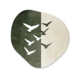 Japandi - Vogel - Groen Wandcirkel Organisch Forex 3mm klein -3d