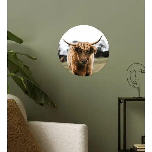 Schotse Hooglander -  Koe - Gras - Dieren - Natuur Wandcirkel behangsticker klein -sfeer2