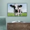 Koe - Weiland - Natuur - Dieren - Gras canvas 2cm klein -sfeer4