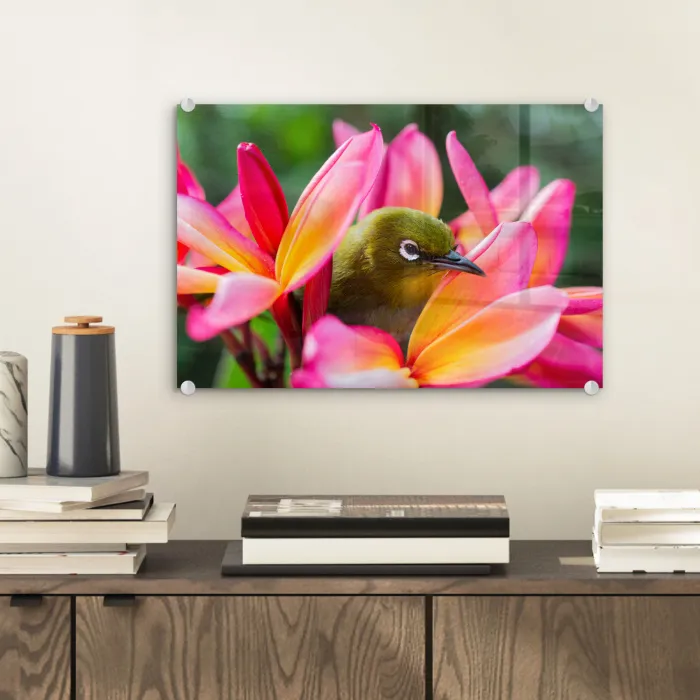 Tropische vogel tussen roze bloem plexiglas 5mm klein -sfeer1