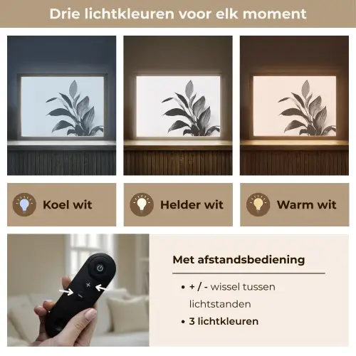 Plant - Bladeren - Minimalistisch - Zwart Light Box met batterij (Wandlamp) middel -USP_lichtkleurNL