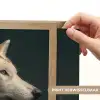 Wolf - Bloemen - Natuur Light Box met batterij (Wandlamp) middel -USP_websiteprintNL