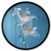Lelies - Blauw - Glazen Fotolijst rond zonder passe partout klein -3d