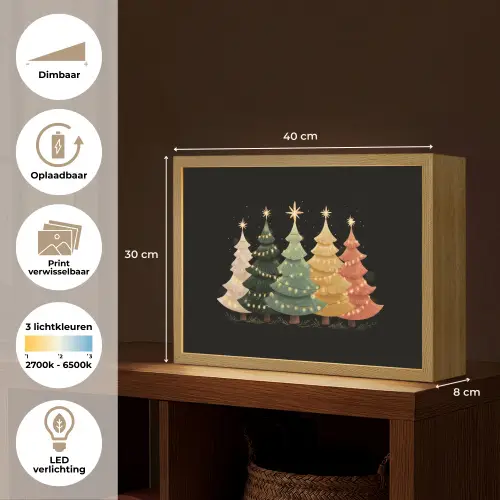 Kerstbomen - Kleurrijk - Lichtjes - Ster Light Box met batterij (Wandlamp) middel -USP_websiteoverzichtNL