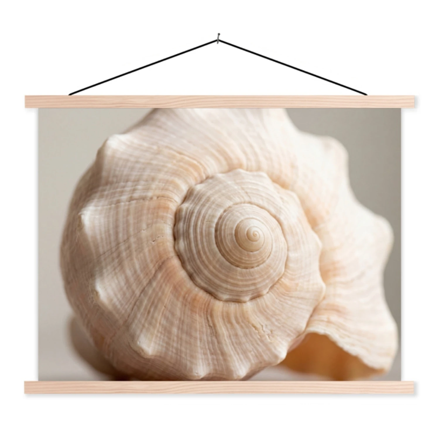 Schoolplaat - Schelp - Detail - Beige | Topdoek.nl