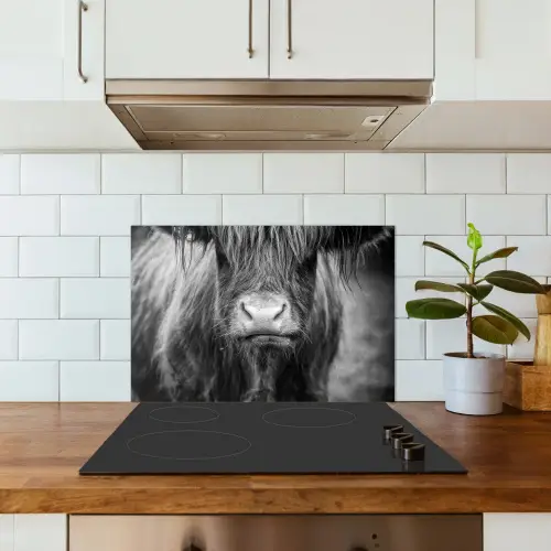 Schotse hooglander - Koe - Zwart - Wit - Dieren keuken achterwand spatscherm klein -sfeer2