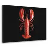 Kreeft - Glossier Rood - Zwart Textielframe zwart klein -3d