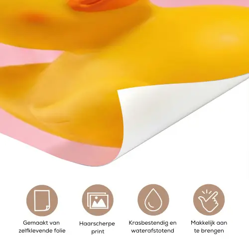 Matroos - Eend - Roze deurposter klein -closeup_NL