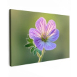 Bloem - Close up - Paars Tuinposter op houten frame 2 cm dik klein -3d