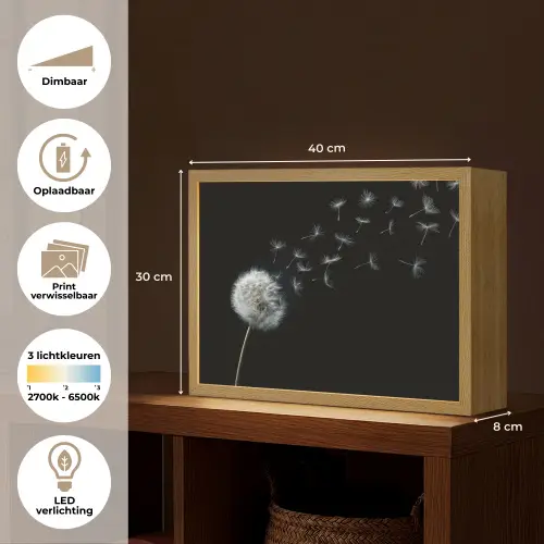 Paardenbloem - Zwart - Natuur Light Box met batterij (Wandlamp) middel -USP_websiteoverzichtNL