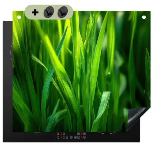 Grassprieten - Lichtinval - Groen Inductie beschemer met haakjes middel -3d