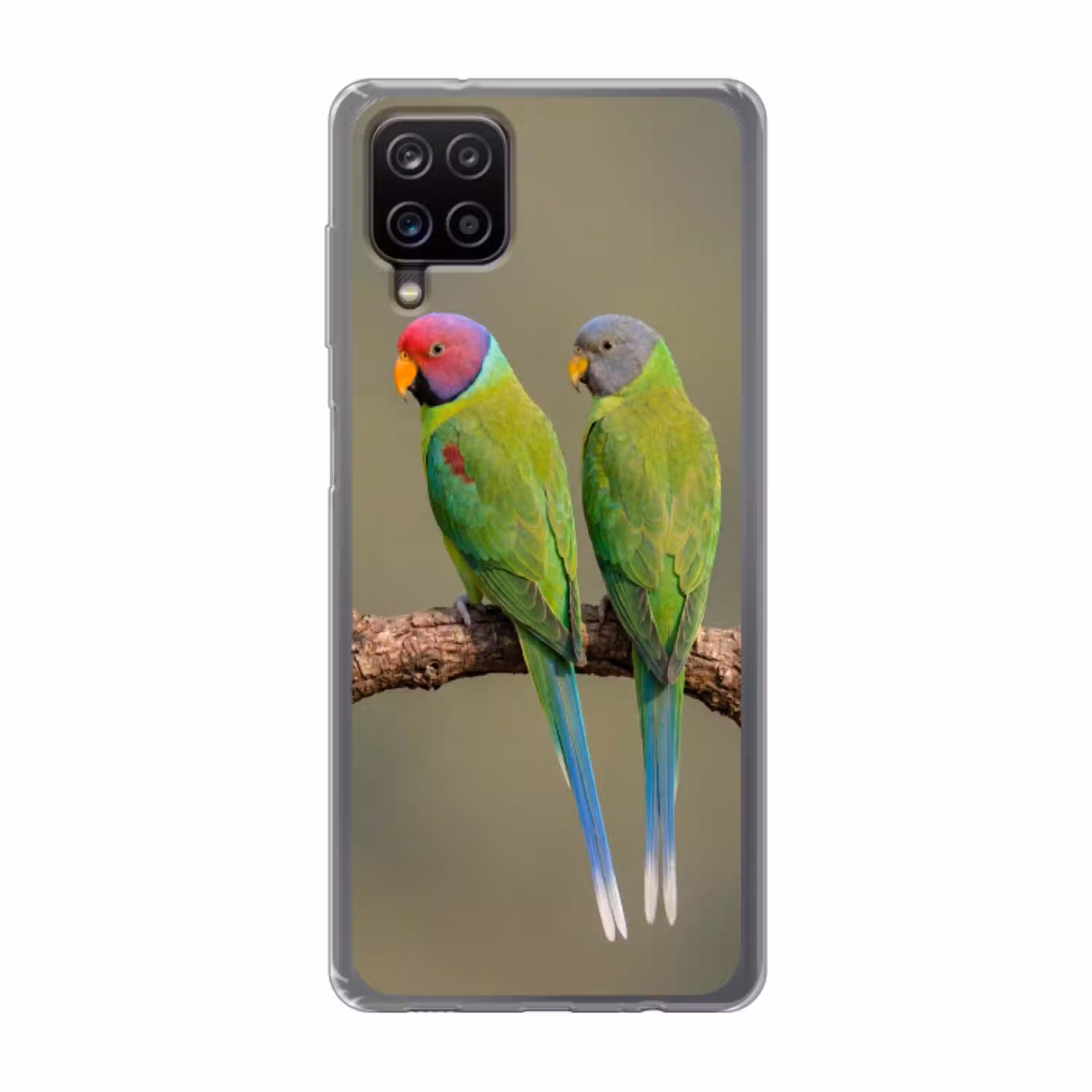 Papagaai - Tak - Natuur - Kleurrijk Telefoonhoesje Samsung Galaxy A12 klein -3d