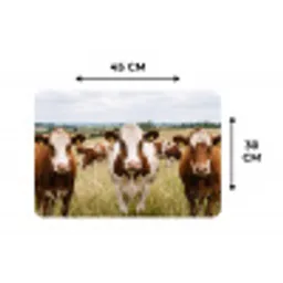 Koeien - Portret - Weide - Boerderij - Nieuwsgierig Placemat vinyl groot -specs