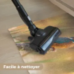 IJsvogel - Tak - Water - Kleurrijk - Levendig Deurmat klein -reinigen_FR