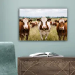 Koeien - Portret - Weide - Boerderij - Nieuwsgierig canvas 2cm klein -sfeer4