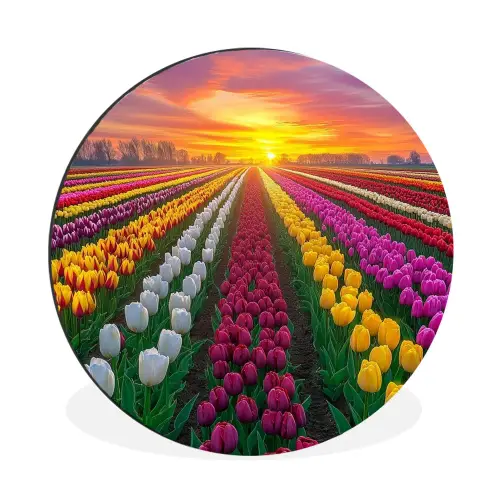 Tulpenveld - Zonsondergang - Kleurrijk Wandcirkel aluminium klein -3d