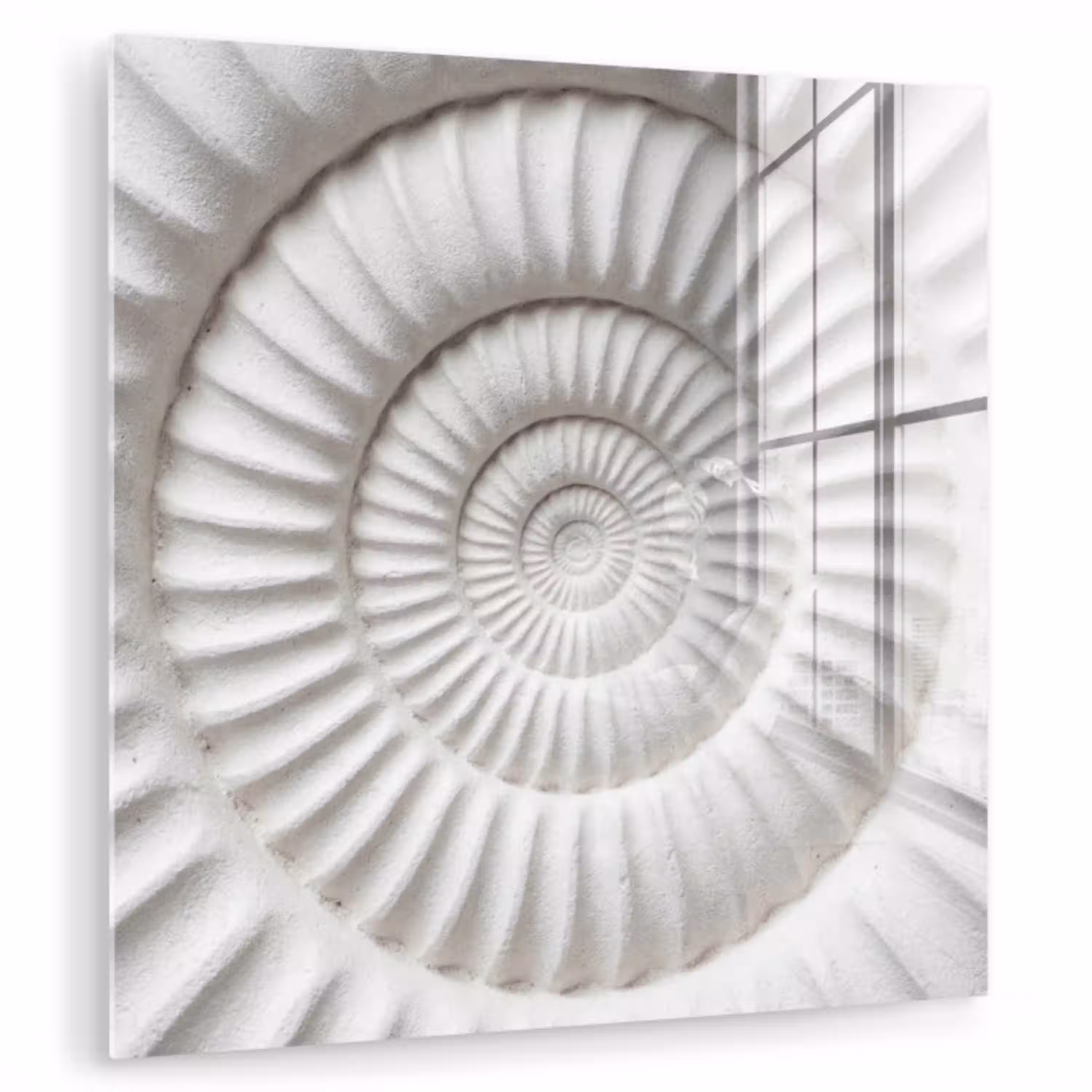 Schelp - Spiraal - Wit plexiglas 5mm klein -zzzproduct_nieuw