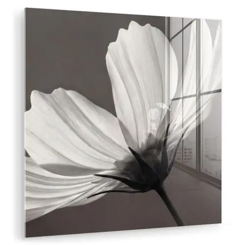 Bloem - Minimalistisch - Zwart - Wit plexiglas 5mm klein -zzzproduct_nieuw