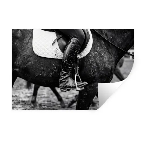 Paard - Sport - Zwart - Wit Muursticker klein -3d