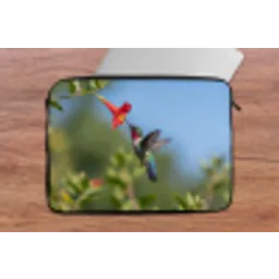 Kolibrie - Bloem - Natuur - Groen laptophoes neopreen klein -tafel