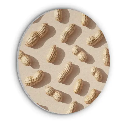 Pinda's - Patroon - Beige Akoestische PET Vilt - Rond klein -3d