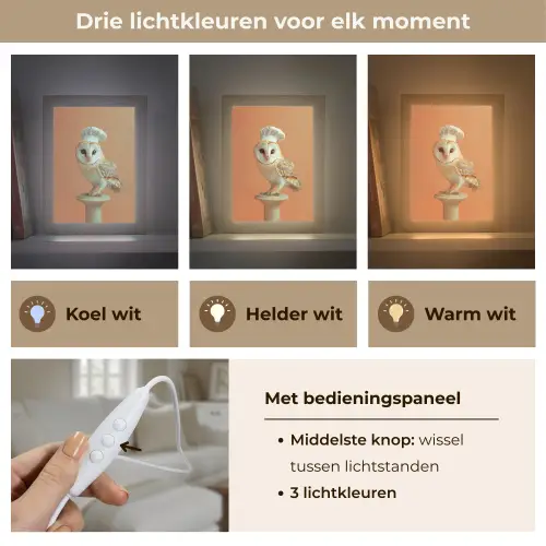 Kerkuil - Koksmuts - Oranje - Vogel Light Box met kabel (Tafellamp) klein -USP_lichtkleurNL