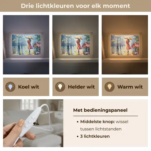 Olieverf - Paraplu - Vrouw - Straat - Kunst Light Box met kabel (Tafellamp) klein -USP_lichtkleurNL