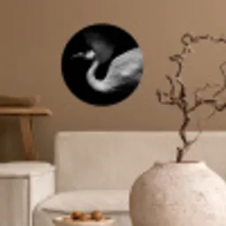 Kraanvogel - Zwart - Wit - Vogel - Dieren Wandcirkel behangsticker klein -sfeer1