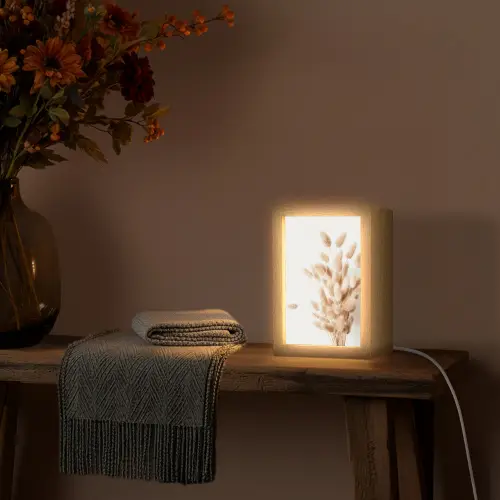 Pampasgras - Pluim - Wit - Beige Light Box met kabel (Tafellamp) klein -sfeer4