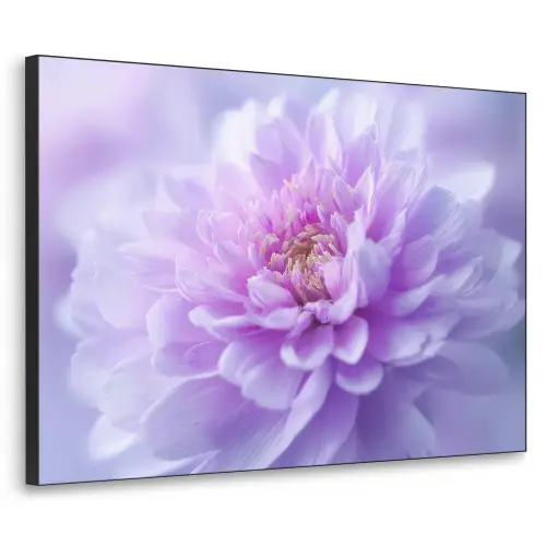 Paars - Dahlia - Dromerig Textielframe zwart klein -3d