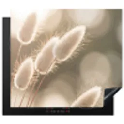 Hazestaartgras - Wit - Zonlicht Inductie beschermer vinyl 3mm middel -3d