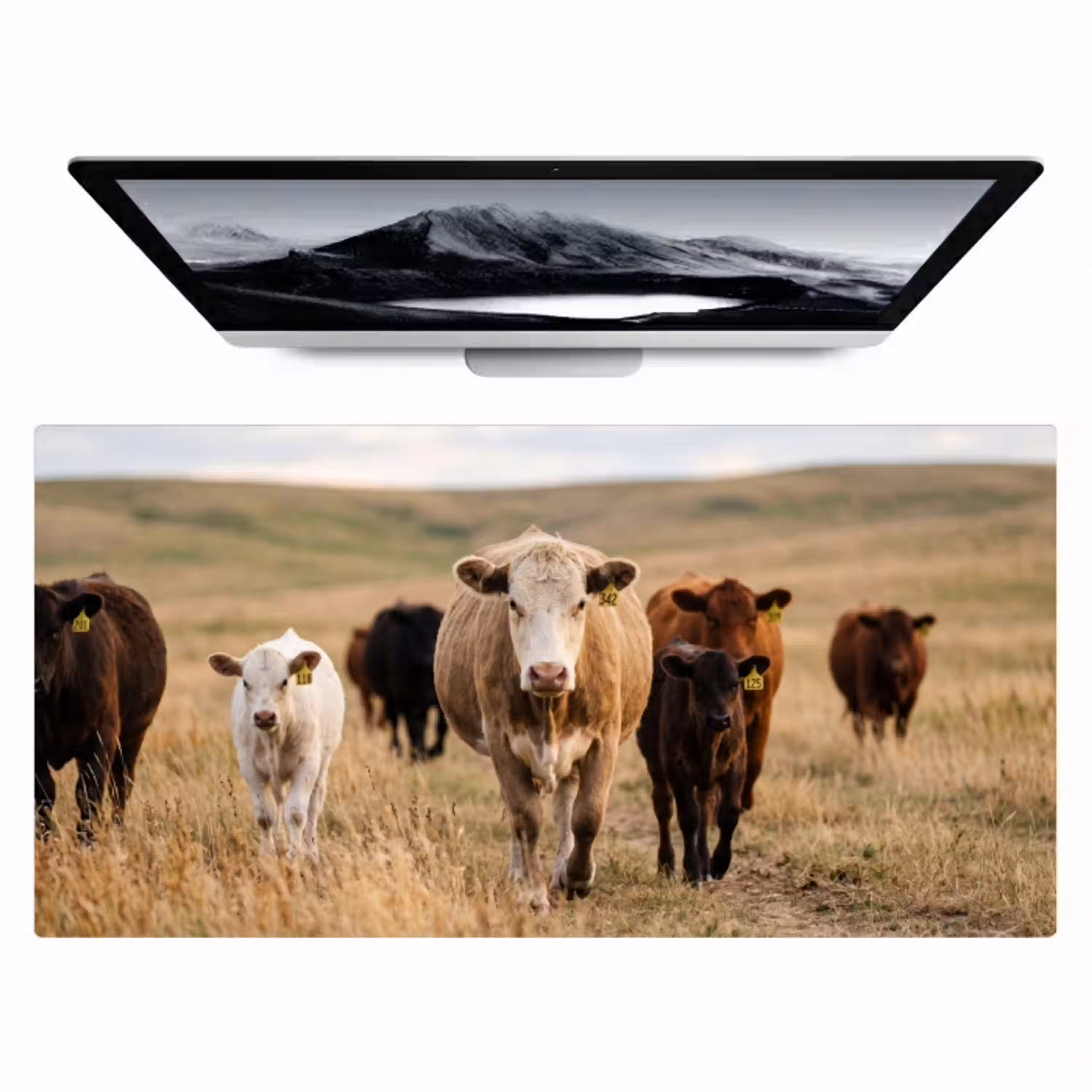 Runderen - Kudde - Landschap - Weide - Rustig Muismat XXL klein -zzz3d