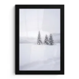 Fijnsparren - Sneeuw - Winter - Landschap - Stilte fotolijst zwart zonder passe partout klein -3d