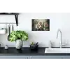 Tijger - Vlinders - Dieren - Jungle - Bloemen Muursticker klein -keuken
