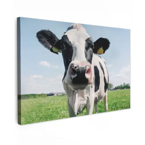 Koe - Weiland - Natuur - Dieren - Gras Tuinposter op houten frame 2 cm dik klein -3d