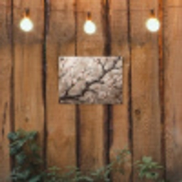 Bloesem - Takken - Schilderij - Beige - Serene tuinposter los doek klein -sfeer1