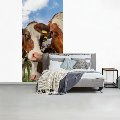 Koeien - Dieren - Weiland - Natuur fotobehang vinyl groot -slaapkamer