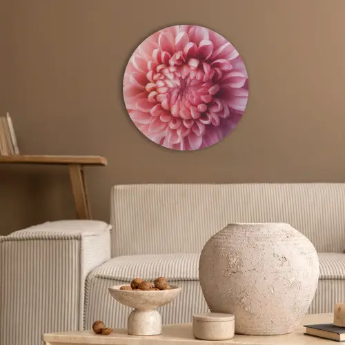 Dahlia - Bloem - Close up - Roze Akoestische PET Vilt - Rond klein -sfeer1