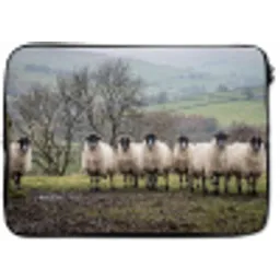 Schapen - Rij - Weide - Dieren - Platteland laptophoes neopreen klein -zkaufland3dotto