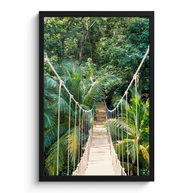 Photo Frame - Jungle - Palm tree - Bridge - Nature - Plants
