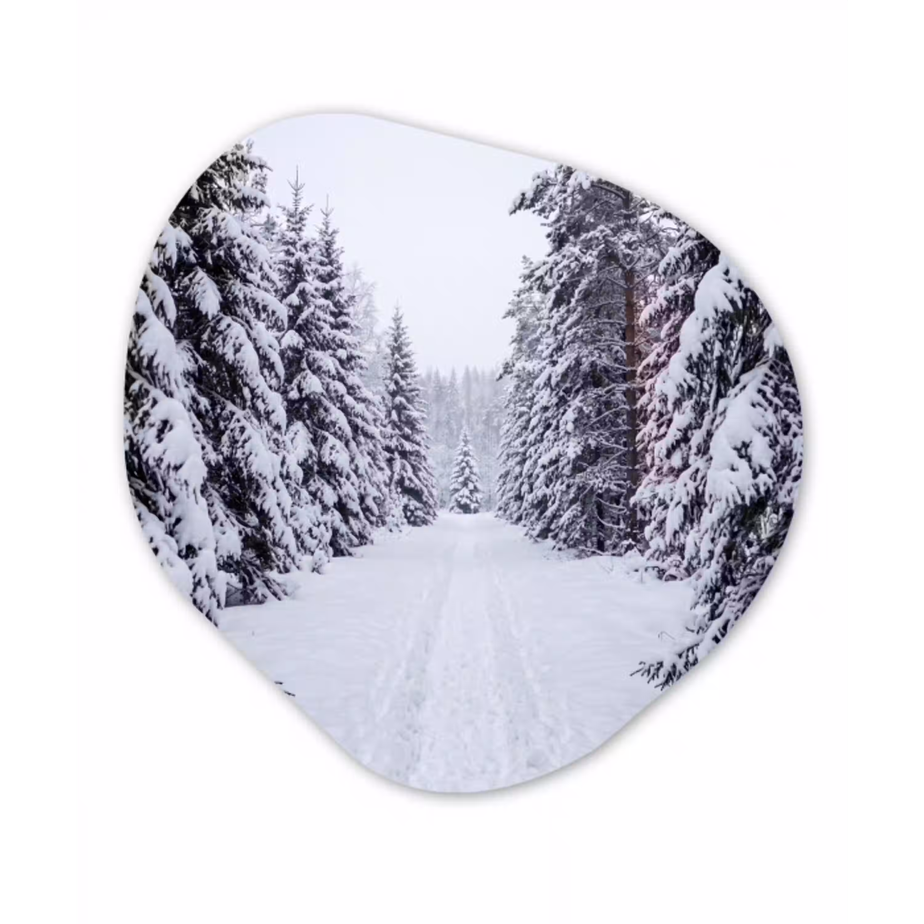 Bos - Winter - Sneeuw - Pad - Natuur Wandcirkel Organisch Forex 3mm klein -3d