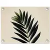 Palmblad - Donkere bladen - Subtiel tuinposter los doek klein -3d